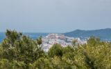 20210510153133000000 tamas photography 8990