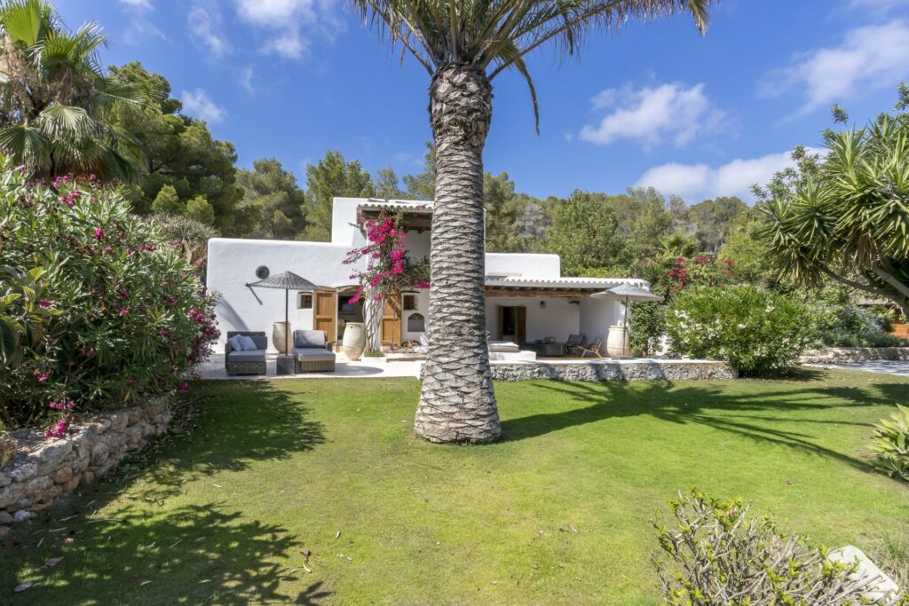 luxury finca rental in Ibiza surrounded by olive trees