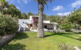 luxury finca rental in Ibiza surrounded by olive trees