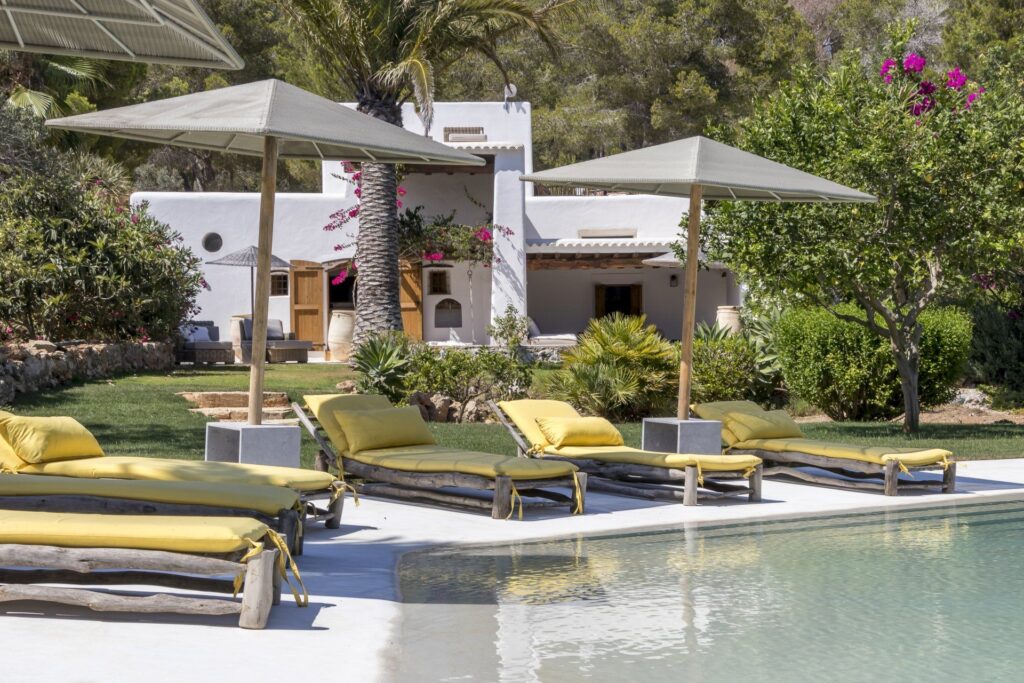 luxury finca rental in Ibiza surrounded by olive trees