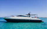 Sci high exterior leopard90 ayaone 2024 025